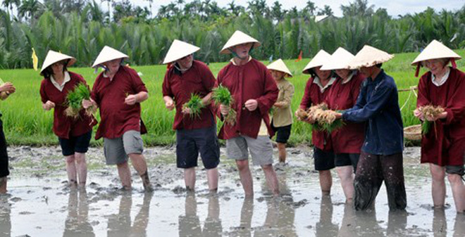 Nằm mơ thấy bùn đất tốt hay xấu? Mơ thấy bùn đất đánh số gì?