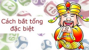 Chia sẻ các cách bắt tổng đặc biệt của cao thủ lô đề