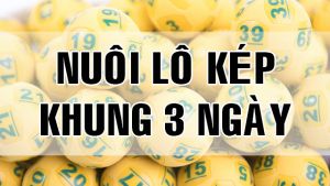 Cách vào tiền nuôi lô kép khung 3 ngày cực chính xác