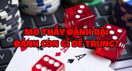 Giải mã giấc mơ thấy đánh bài? Mơ bài bạc nên đánh con số nào?