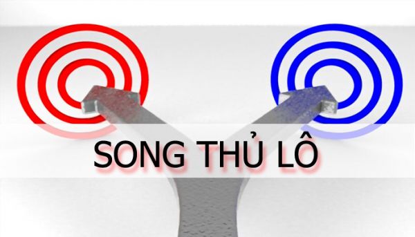 Kinh nghiệm nuôi lô song thủ khung 3 ngày đảm bảo trúng